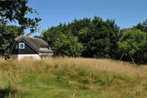De Kerkuil - Landhaus in De Cocksdorp Texel (8 Personen)