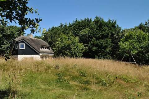 De Kerkuil - Ferienunterkunft in De Cocksdorp Texel (8 Personen)