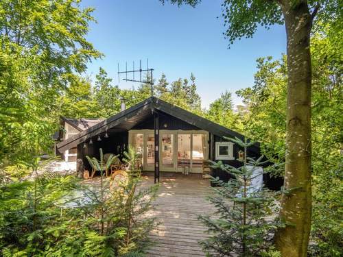 Ferienhaus Caya - all inclusive - 450m to the inlet  in 
Hemmet (Dnemark)