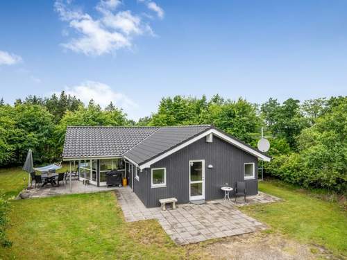 Ferienhaus Valentin - all inclusive - 400m to the inlet  in 
Skjern (Dnemark)