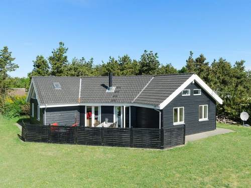 Ferienhaus Tydkil - all inclusive - 300m to the inlet  in 
Skjern (Dnemark)