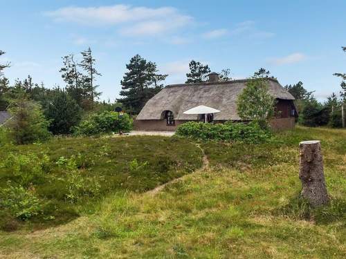 Ferienhaus Ilva - 300m to the inlet in Western Jutland