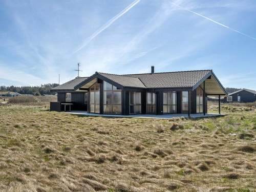 Ferienhaus Tjarko - 150m from the sea in NW Jutland