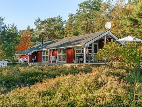 Ferienhaus Helmtrud - 500m from the sea