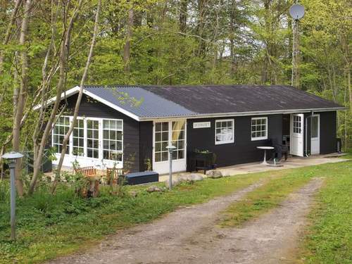 Ferienhaus Rigmor - 300m from the sea
