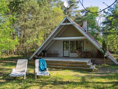 Ferienhaus Jörn - all inclusive - 800m from the sea in Sealand  in 
Vig (Dnemark)