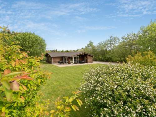 Ferienhaus Els - all inclusive - 900m from the sea  in 
Fjerritslev (Dnemark)