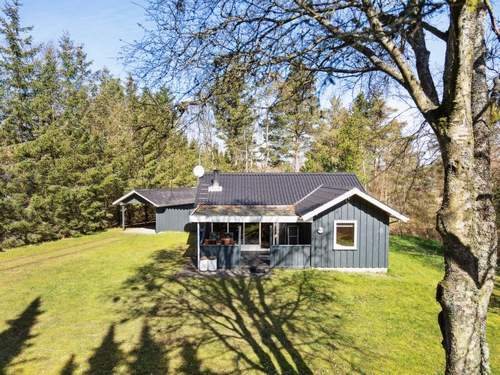 Ferienhaus Ketildor - 100m from the sea in NE Jutland