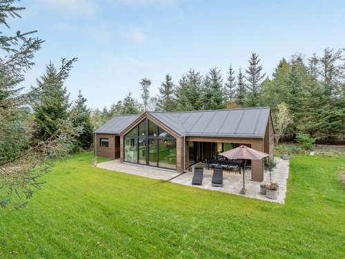 Ferienhaus Tilke - 400m from the sea in NE Jutland