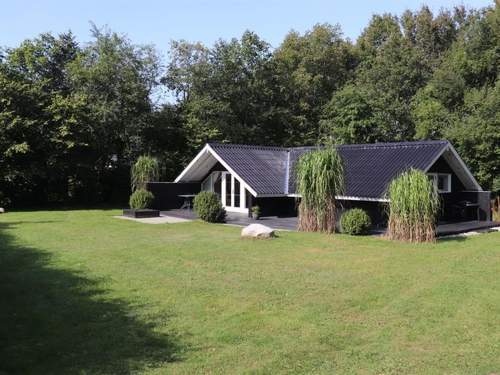 Ferienhaus Anninka - 28km from the sea in Western Jutland