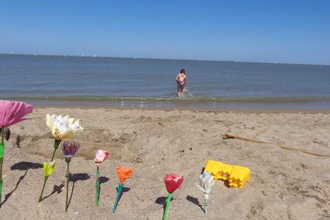 Rosa - Ferienunterkunft in Knogge (6 Personen)