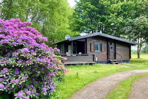 Lüneburger Heide - Ferienhaus in Eschede (4 Personen)