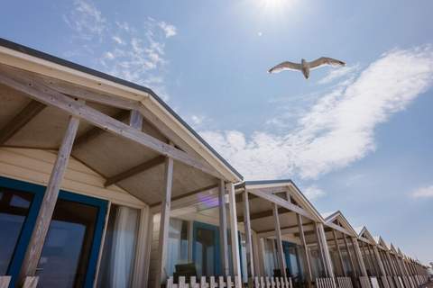 Resort Beach Houses Wijk aan Zee 6 - Ferienunterkunft in Wijk aan Zee (6 Personen)