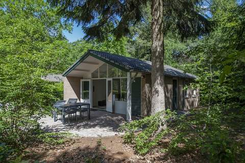 Bospark de Schaapskooi 10 - Ferienunterkunft in Wissel/Epe (6 Personen)