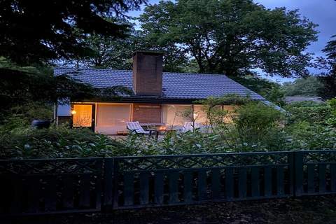 Boshuisje De Koolmees - Ferienunterkunft in Appelscha (4 Personen)