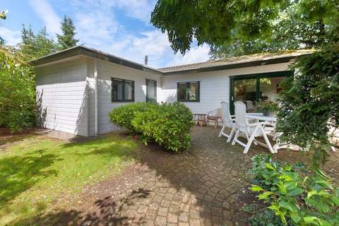 Huisje Arti - Chalet in Ommen-Stegeren (4 Personen)