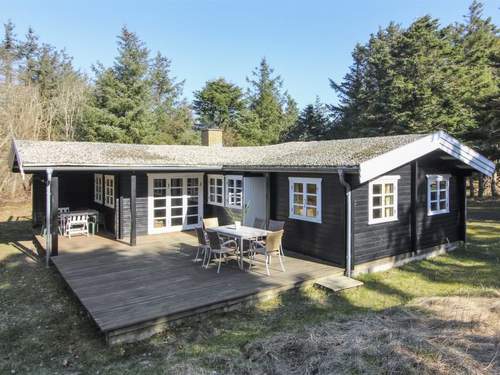 Ferienhaus Olin - 600m from the sea