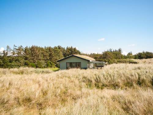 Ferienhaus Diuri - 400m from the sea in NW Jutland