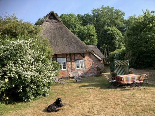 Ferienhaus Reethuus  in 
Sandbostel (Deutschland)