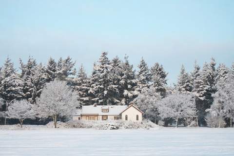 Huis in het bos - Ferienunterkunft in Oploo (12 Personen)