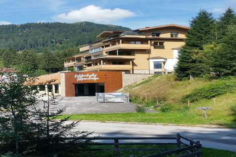 Kitzbheler Alpenlodge Top A6 - Appartement in Mittersill (7 Personen)