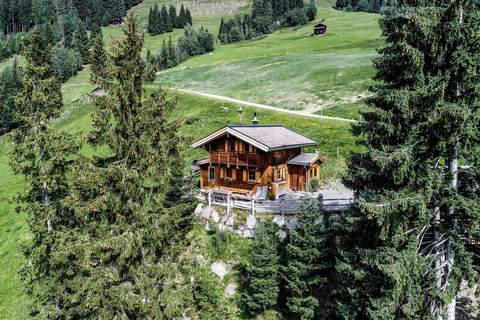 Stiermoos Hütte - Ferienunterkunft in Hollersbach (6 Personen)