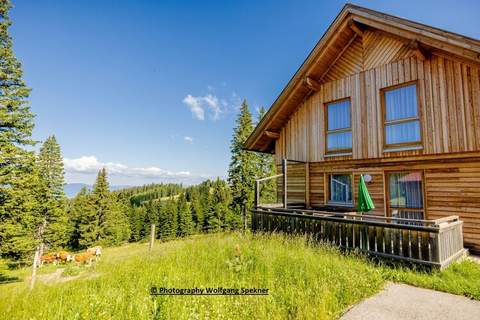 Almdorf Weinebene XL - Ferienhaus in Sankt Gertraud-Weinebene (12 Personen)