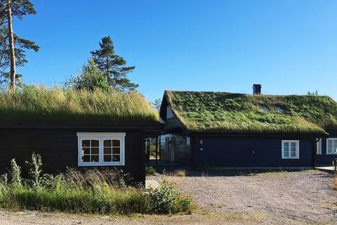 Ferienhaus in Treungen (15 Personen)