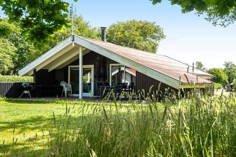 Ferienunterkunft in Hemmet (6 Personen)