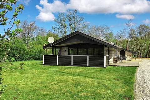 Ferienhaus in Hemmet (5 Personen)