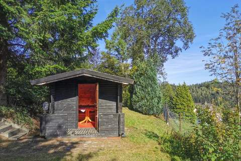 Bärenhütte 9 Personen - Ferienunterkunft in Altenau (9 Personen)