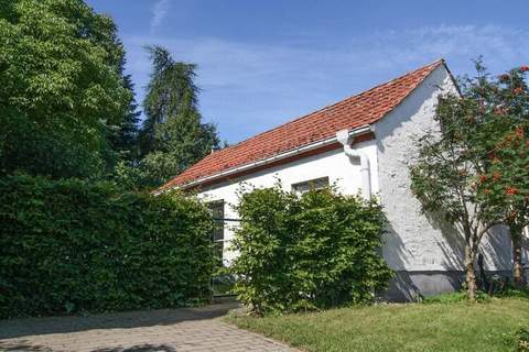 Ferienhaus Gänseblümchen - Ferienhaus in Mirow (2 Personen)