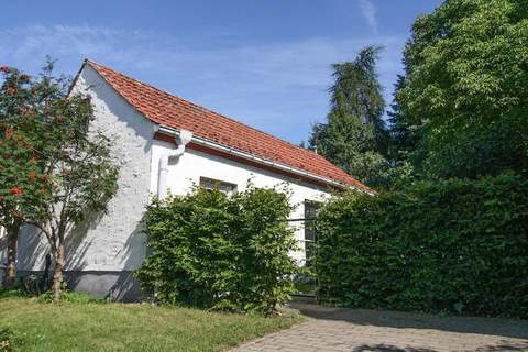 Ferienhaus Gänseblümchen - Ferienunterkunft in Mirow (2 Personen)