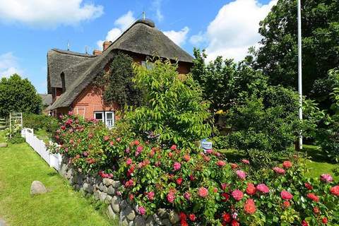 Ferienwohnung in  Oevenum auf Föhr - Wohnung 3 - Appartement in Oevenum (4 Personen)