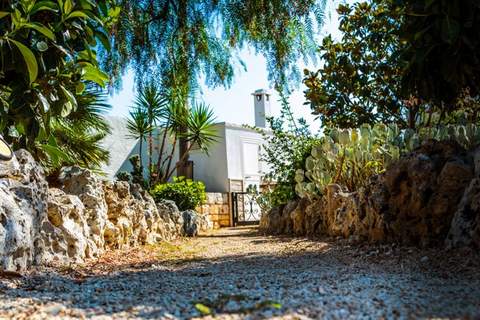 Trullo Cittadino Cisternino - Ferienunterkunft in Cisternino (4 Personen)