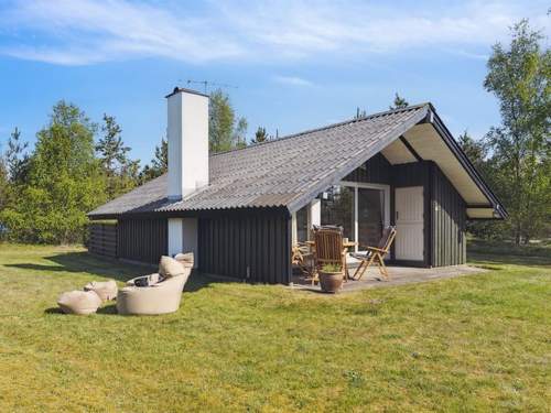 Ferienhaus Irlin - all inclusive - 600m from the sea  in 
Jerup (Dnemark)