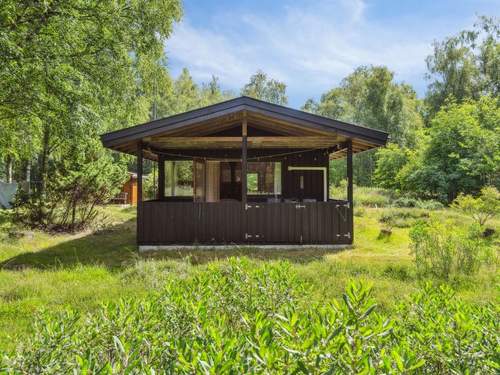 Ferienhaus Ferdine - 2km from the sea