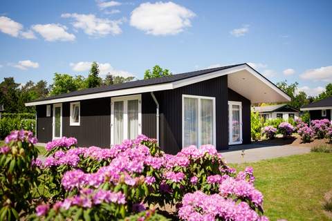 Vakantiepark Molenvelden 1 - Ferienunterkunft in Veldhoven (6 Personen)