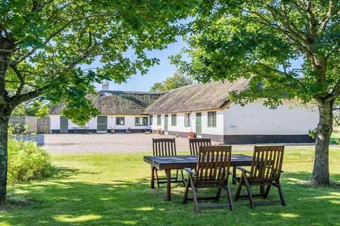 Ferienhaus in Nørre Nebel (4 Personen)