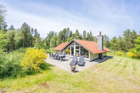 Ferienhaus in Blåvand (5 Personen)