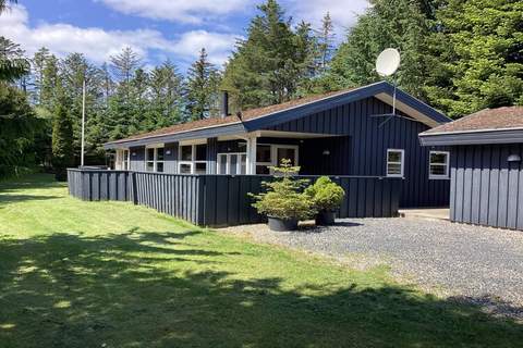 Ferienhaus in Blokhus (8 Personen)