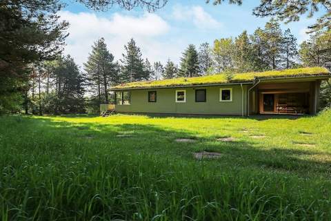 Ferienhaus in Blokhus (6 Personen)