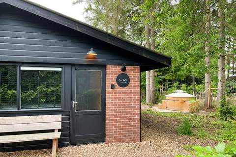 Dutch Cabin Houses C65 - Ferienhaus in Rheezerveen (4 Personen)