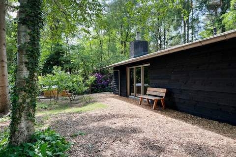 Dutch Cabin Houses C66 - Ferienunterkunft in Rheezerveen (4 Personen)