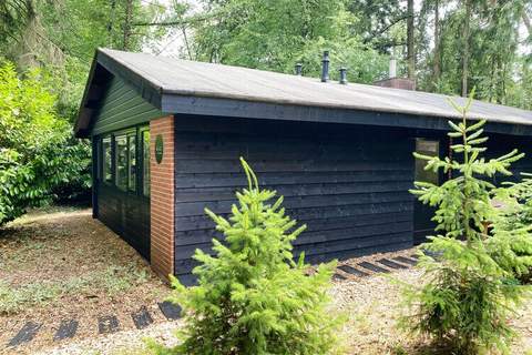 Dutch Cabin Houses C67 - Ferienhaus in Rheezerveen (4 Personen)