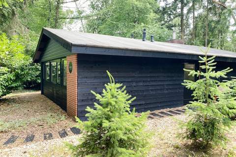 Dutch Cabin Houses C67 - Ferienunterkunft in Rheezerveen (4 Personen)