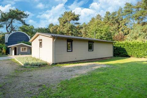 Boshuisje Elri - Ferienunterkunft in Meijel (4 Personen)