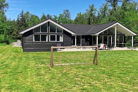 Ferienhaus in Frederiksvrk (20 Personen)