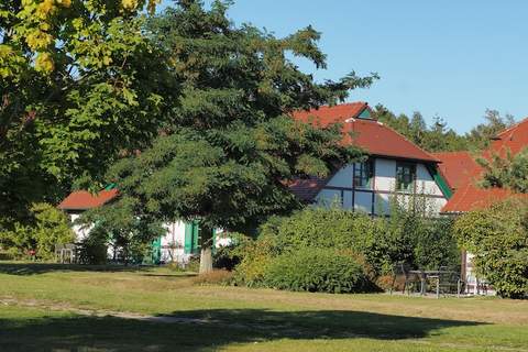 Typ E EG oder OG 3 Personen - Ferienunterkunft in Dranske (3 Personen)