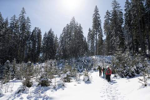 Ferienwohnung Klausner Lena - Ferienunterkunft in Bramberg am Wildkogel (4 Personen)